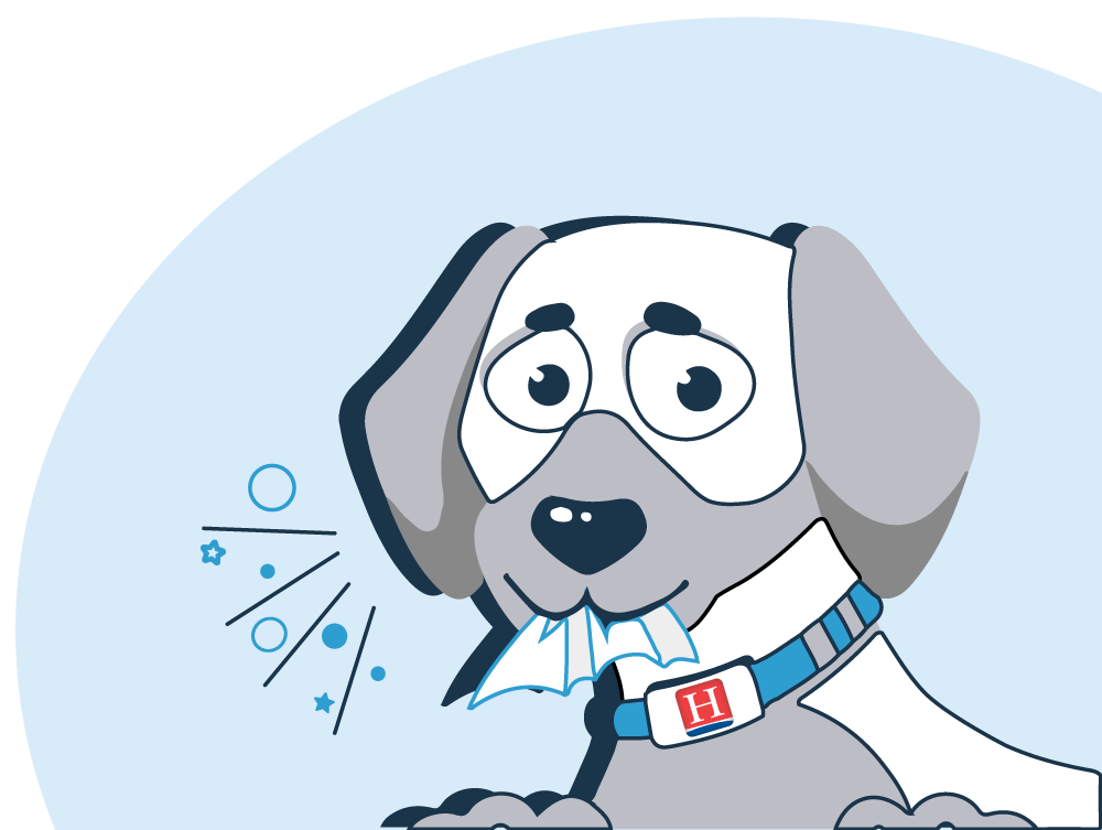 Dog Image