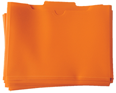 Learn more aboutLLI Orange Lesson Folders (10 pack)