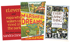 Learn more aboutLiterary Essay: Opening Texts and Seeing More, Trade Pack, Grade 5